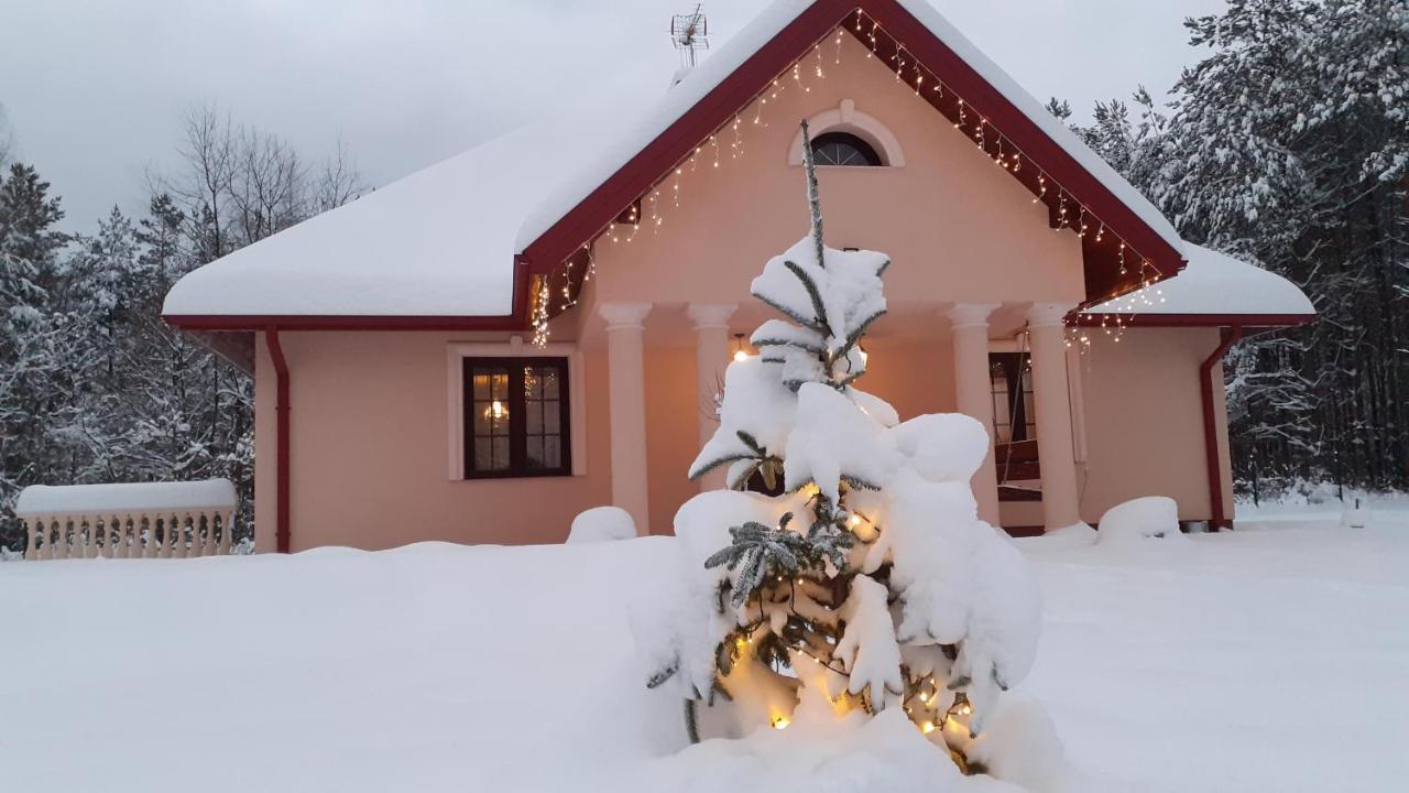 Dworek Pod Debem Holiday home *